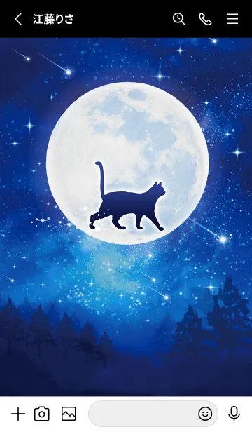 [LINE着せ替え] 幸運を呼びこむ✨月明かりを歩くネコの画像2