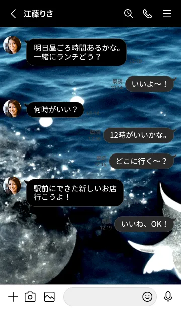 [LINE着せ替え] 夜の月 月の海 #4jx_12。の画像3