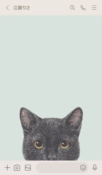 [LINE着せ替え] ICON CAT - ミックス - PASTEL GR/07の画像2