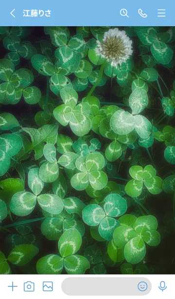 [LINE着せ替え] 本物ラッキークローバーズ #70の画像2