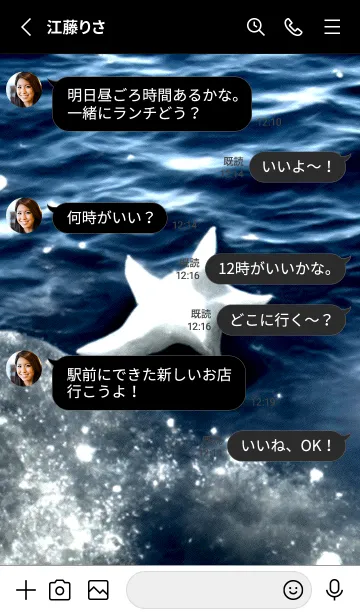 [LINE着せ替え] 夜の月 月の海 #4jx_16。の画像3