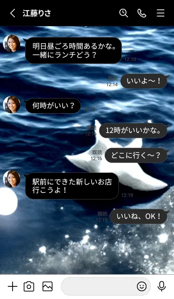 [LINE着せ替え] 夜の月 月の海 #4jx_14。の画像3