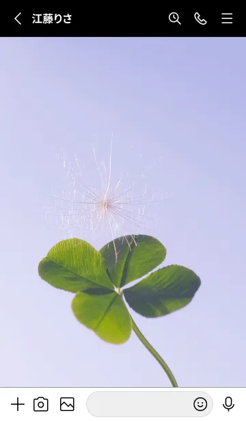 [LINE着せ替え] 幸運の妖精ケサランパサラン #25の画像2