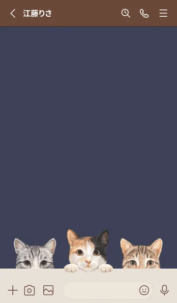 [LINE着せ替え] 猫 - ミックス 01 - ダスティネイビーの画像2