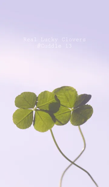 [LINE着せ替え] 本物ラッキークローバーズ #Cuddle 13の画像1