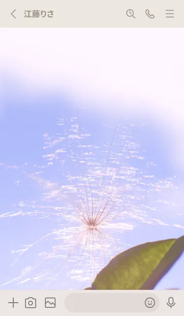 [LINE着せ替え] 幸運の妖精ケサランパサラン #Twinkle 2の画像2