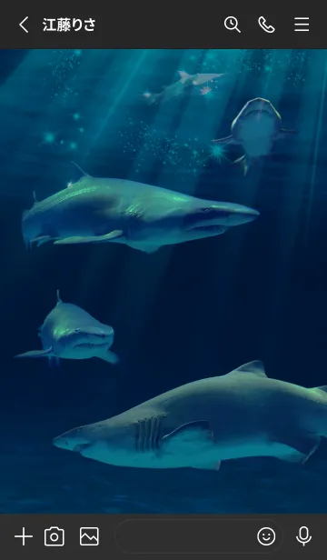 [LINE着せ替え] サメ 深海 Deep sea shark2の画像2