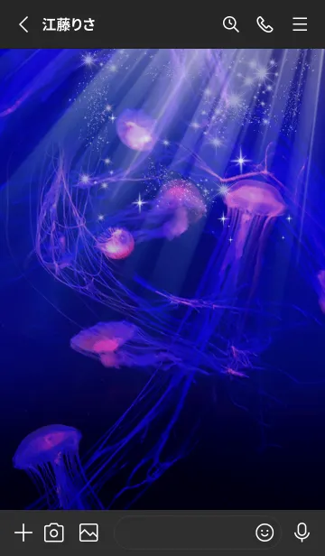 [LINE着せ替え] 癒しのクラゲ Beautiful Jellyfish+の画像2