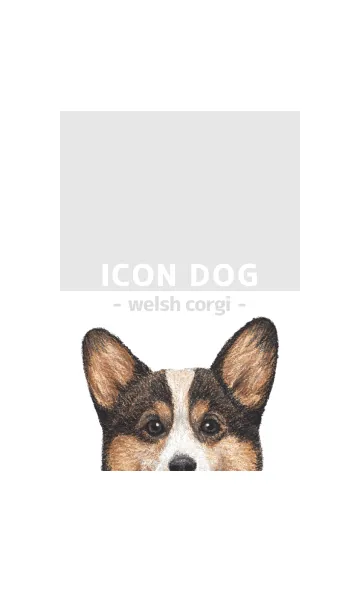 [LINE着せ替え] ICON DOG - コーギー 01 - GRAY/06の画像1