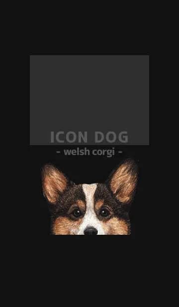 [LINE着せ替え] ICON DOG - コーギー 01 - BLACK/06の画像1