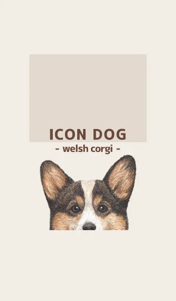 [LINE着せ替え] ICON DOG - コーギー 01 - BROWN/06の画像1