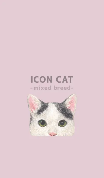 [LINE着せ替え] ICON CAT - ミックス - PASTEL PK/08の画像1