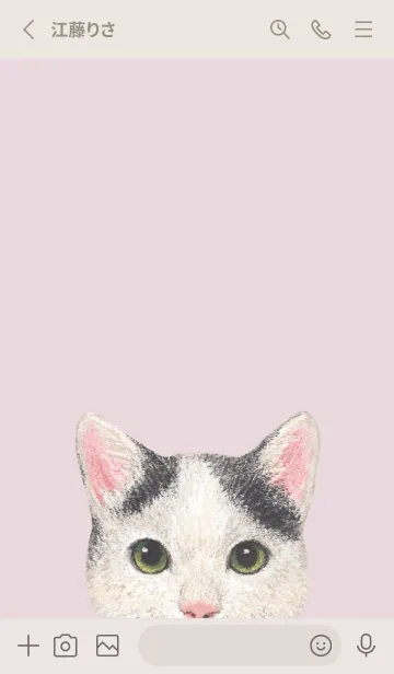 [LINE着せ替え] ICON CAT - ミックス - PASTEL PK/08の画像2