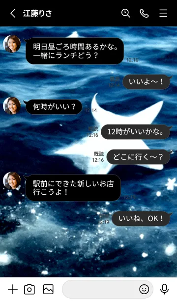 [LINE着せ替え] 夜の月 月の海 #4jz_23。の画像3