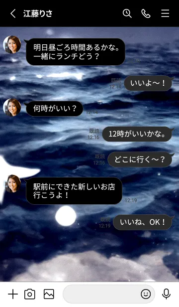 [LINE着せ替え] 夜の月 月の海 #4jz_22。の画像3