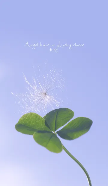 [LINE着せ替え] 幸運の妖精ケサランパサラン #30の画像1