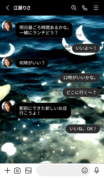 [LINE着せ替え] 夜の月 月の海 #4jbf_213。の画像3