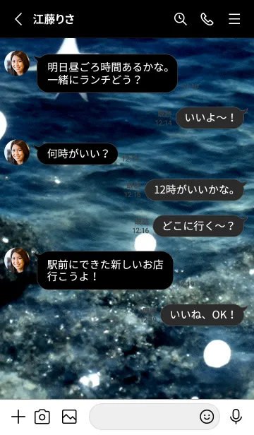 [LINE着せ替え] 夜の月 月の海 #4jbf_210。の画像3