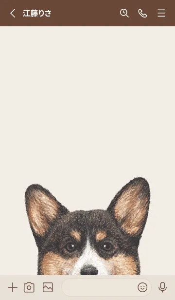 [LINE着せ替え] ICON DOG - コーギー 01 - BROWN/04[rev.]の画像2