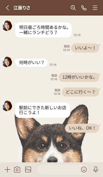 [LINE着せ替え] ICON DOG - コーギー 01 - BROWN/04[rev.]の画像3