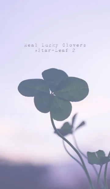 [LINE着せ替え] 本物ラッキークローバーズ #Star-Leaf 2の画像1