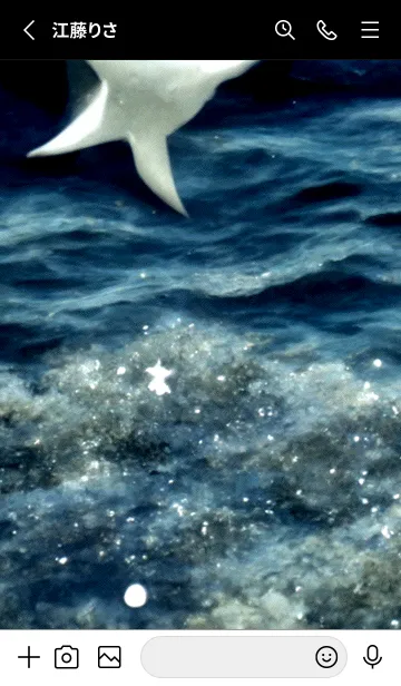 [LINE着せ替え] 夜の月 月の海 #4jbf_215。の画像2