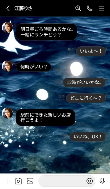 [LINE着せ替え] 夜の月 月の海 #4jbf_214。の画像3