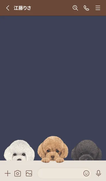 [LINE着せ替え] トイプードル - ダスティネイビーの画像2