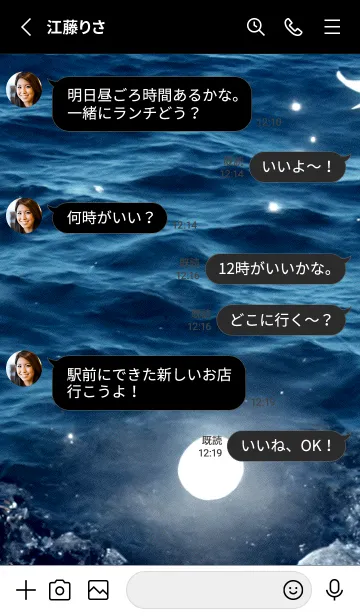 [LINE着せ替え] 夜の月 月の海 #4jbg_2。の画像3