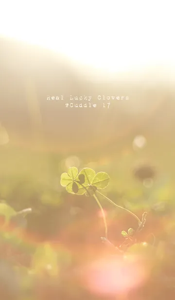 [LINE着せ替え] 本物ラッキークローバーズ #Cuddle 17の画像1