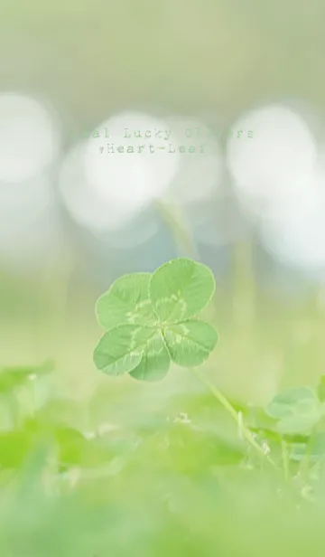 [LINE着せ替え] 本物ラッキークローバーズ #Heart-Leaf 4の画像1