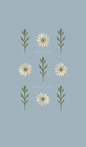 [LINE着せ替え] BOTANICAL - マーガレット / 灰水色の画像1