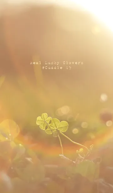 [LINE着せ替え] 本物ラッキークローバーズ #Cuddle 19の画像1