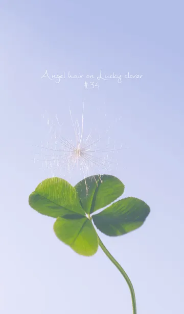 [LINE着せ替え] 幸運の妖精ケサランパサラン #34の画像1