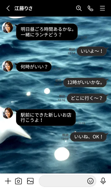 [LINE着せ替え] 夜の月 月の海 #4jbh_28。の画像3