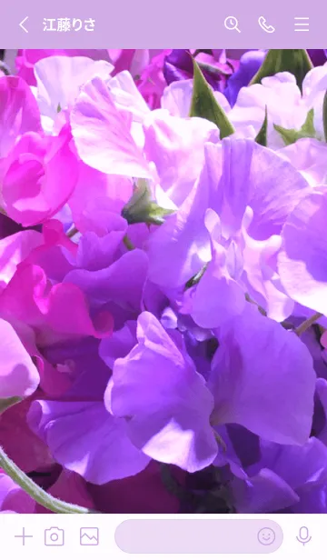 [LINE着せ替え] SWEET PEA-PURPLEの画像2
