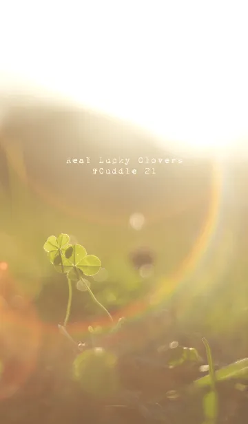 [LINE着せ替え] 本物ラッキークローバーズ #Cuddle 21の画像1