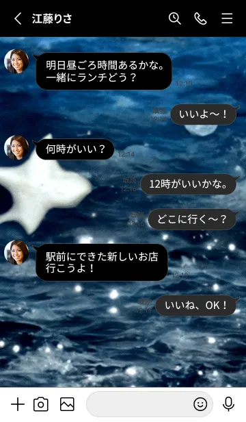 [LINE着せ替え] 夜の月 月の海 #4ica_11。の画像3