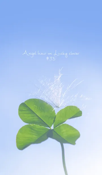 [LINE着せ替え] 幸運の妖精ケサランパサラン #35の画像1