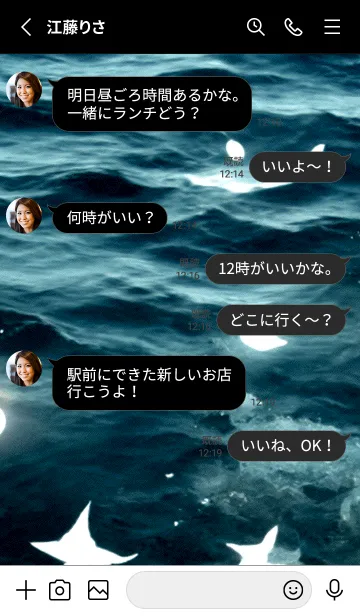 [LINE着せ替え] 夜の月 月の海 #4ja_15。の画像3