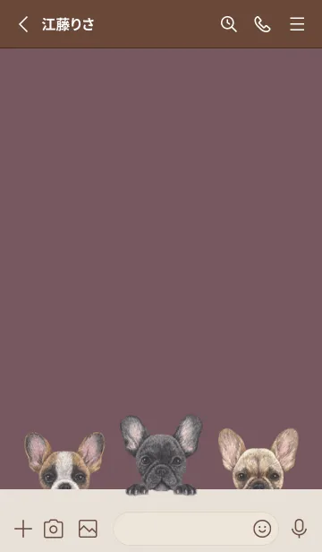 [LINE着せ替え] フレンチブルドッグ - ダスティローズの画像2