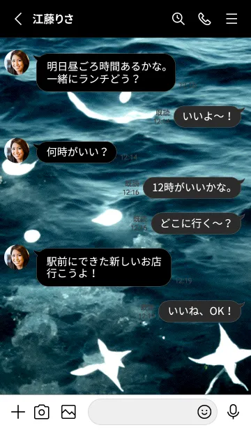 [LINE着せ替え] 夜の月 月の海 #4ja_10。の画像3