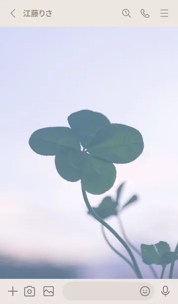 [LINE着せ替え] 本物ラッキークローバーズ #Star-Leaf 6の画像2