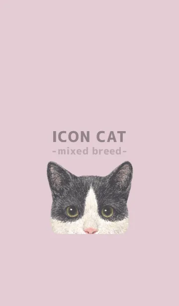 [LINE着せ替え] ICON CAT - ミックス - PASTEL PK/09の画像1