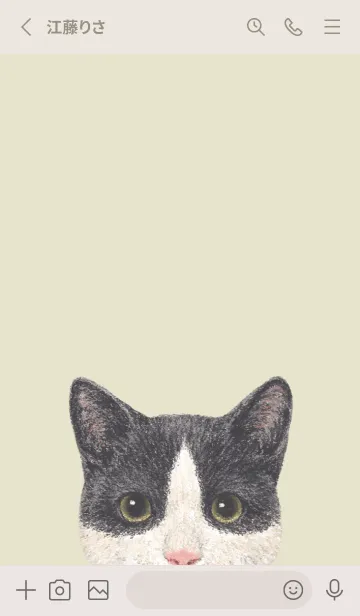 [LINE着せ替え] ICON CAT - ミックス - PASTEL YE/09の画像2