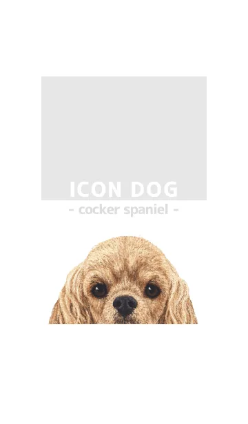 [LINE着せ替え] ICON DOG - コッカー - GRAY/01の画像1