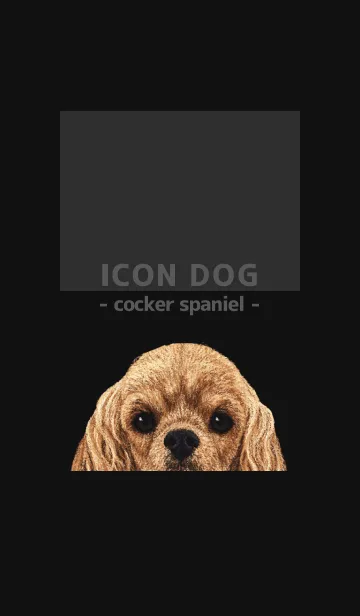 [LINE着せ替え] ICON DOG - コッカー - BLACK/01の画像1