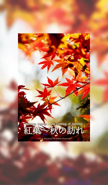 [LINE着せ替え] 紅葉〜秋の訪れ 3の画像1