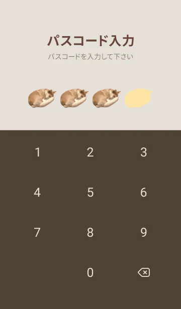 [LINE着せ替え] コーギーのとうふちゃん着せかえの画像4