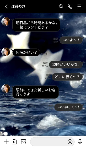 [LINE着せ替え] 夜の月 月の海 #4jca_15。の画像3